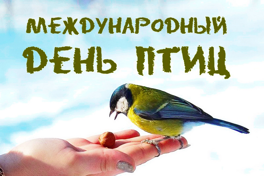 Отмечаем международный День птиц.